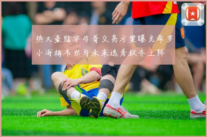热火豪赌字母哥交易方案曝光希罗小海梅韦尔与未来选秀权齐上阵