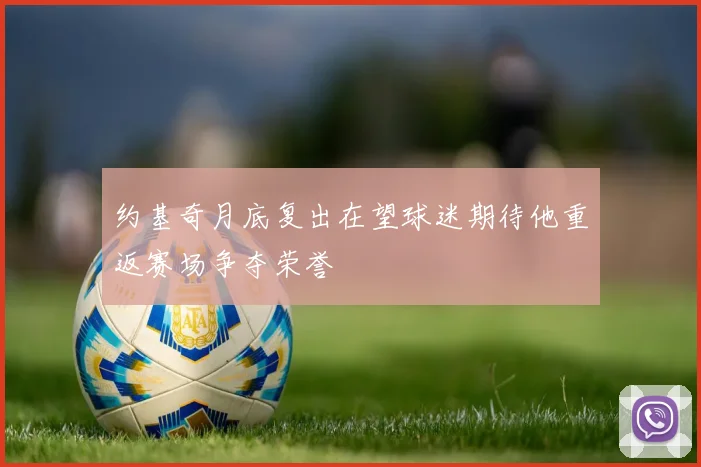 约基奇月底复出在望球迷期待他重返赛场争夺荣誉