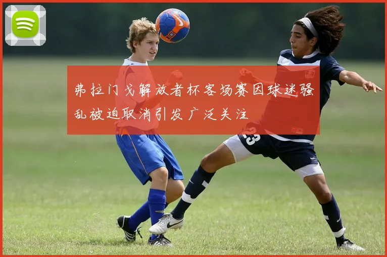 弗拉门戈解放者杯客场赛因球迷骚乱被迫取消引发广泛关注